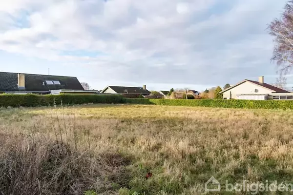 En åben græsmark omgivet af huse med grå tage under en skyet himmel. Græsset ser vildt og uklippet ud, og der er levende hegn som afgrænsning.
