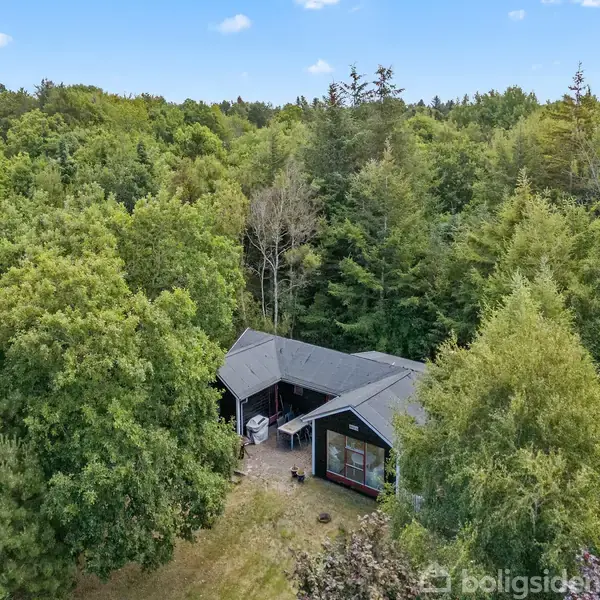 Et sort træhus ligger stille omgivet af tæt, grøn skov. Huset har store vinduer og en terrasse med møbler. Himlen er blå med spredte skyer, skaber en fredfyldt atmosfære.