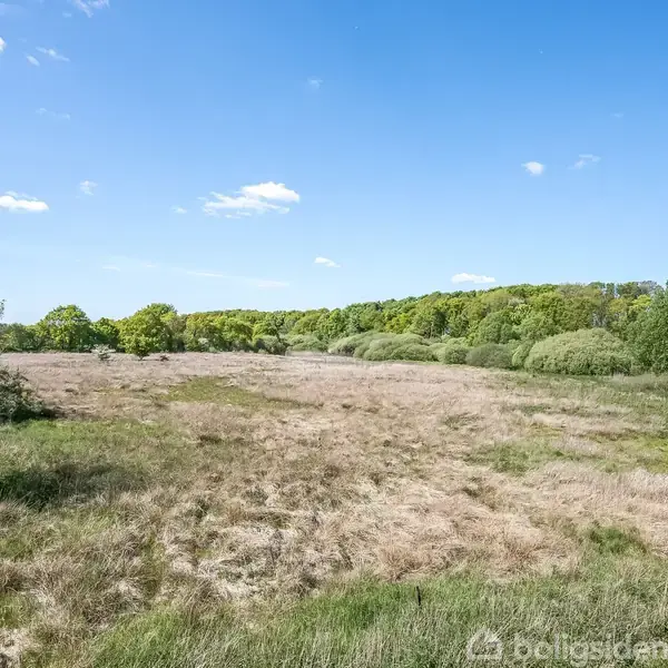 En åben mark med tørt græs breder sig i et naturlandskab omgivet af træer under en klar blå himmel med spredte, hvide skyer.