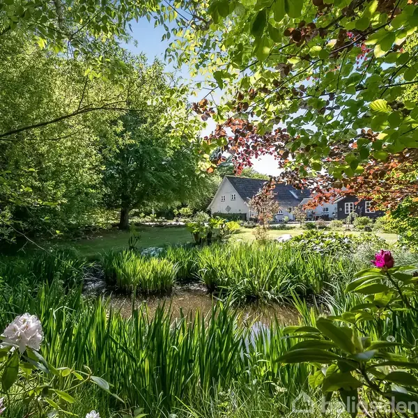 Hus omgivet af frodig have med træer og buske. En lille dam med blomster i forgrunden. Blåt himmellys skinner gennem bladene. Ingen tekst til stede.