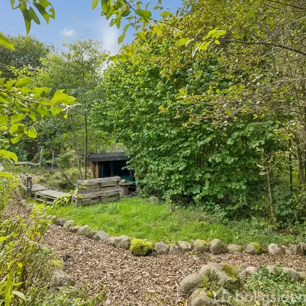 Et lille træhus står stille omgivet af tætte, grønne træer og buske. Foran løber en snoet sti belagt med træflis og afgrænset af natursten gennem det frodige skovområde.