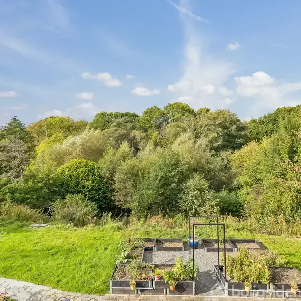 En have med højbede fyldt med planter står i fokus. Handlingen er plantning og vækst. I baggrunden er der et frodigt skovområde under en klar blå himmel.