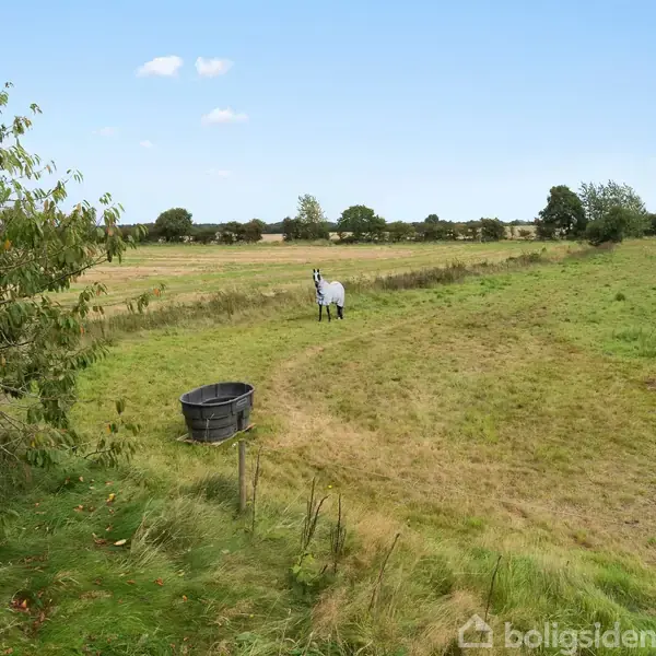 Hest iført dækken står på en græsmark ved siden af en sort vandtønde. Mark omgivet af buske og træer under en klar blå himmel.