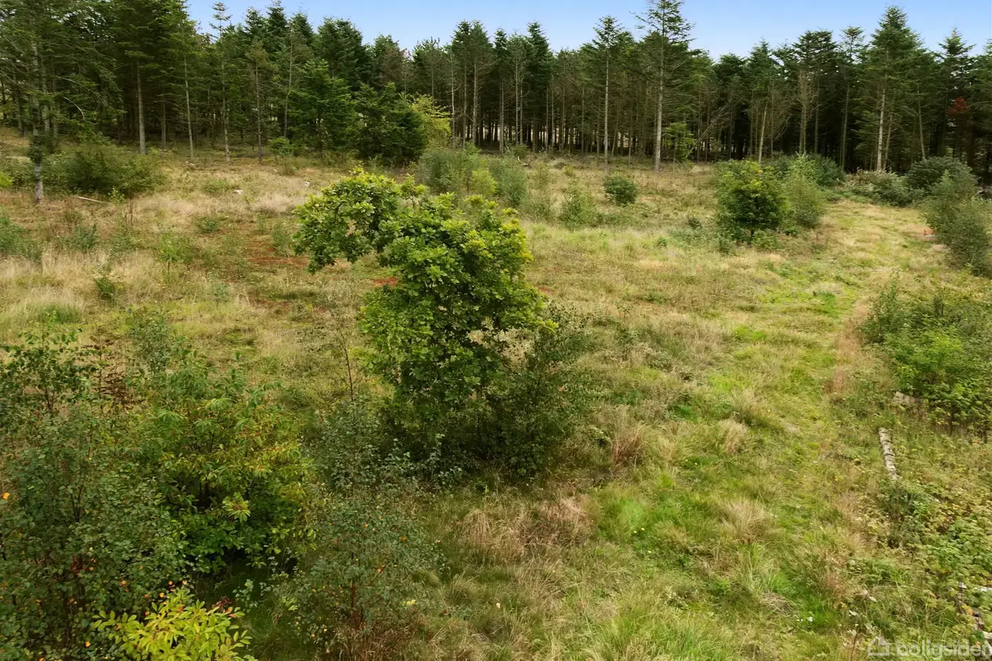 Helårsgrund på Dragstrupvej 128, 7950 Erslev