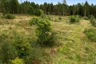 Helårsgrund på Dragstrupvej 128, Mellem Jølby, 7950 Erslev