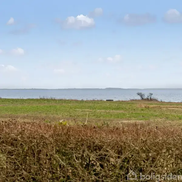 Busk forgrunden, omgivet af marker, tilføjer dybde til landskabet. Billedet fokuserer på udsigten over græsmarkerne mod en rolig kystlinje og en klar blå himmel.