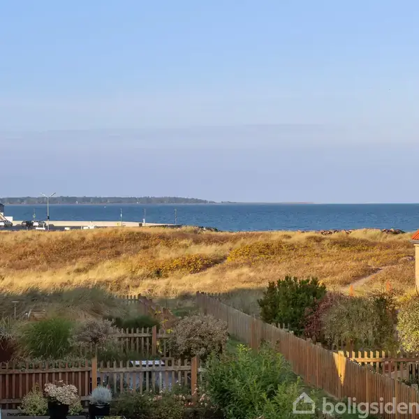 Huse står roligt mellem hegn og haver, med en udsigt over klitter og det blå hav i baggrunden. En havnemole og en bygning ses i det fjerne.