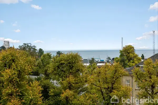 Ejerlejlighed på Østerbrogade 216, 4. th., 2100 København Ø