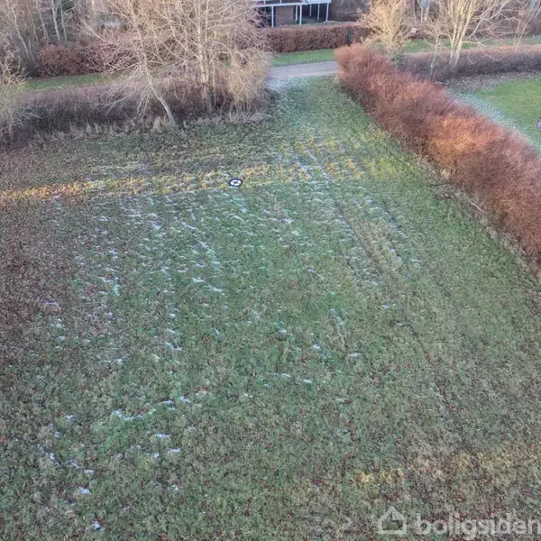 Grøn mark med spor i græsset, omgivet af buske og træer. En sti løber i baggrunden, og der er et hvidt skilt i midten af marken.