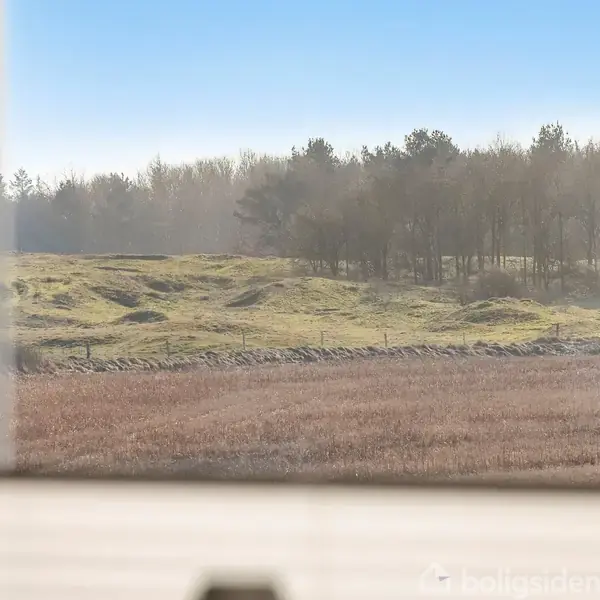 Et vindue indrammer en udsigt; grønne marker strækker sig mod en skov i det fjerne under en klar blå himmel, set indefra et rum.