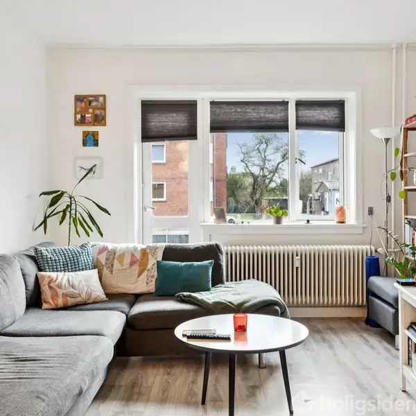 Grå sofa med farverige puder står i et lyst rum. Kaffebord foran sofaen. Baggrunden viser et vindue med planter, reoler og udsigt til bygninger udenfor.