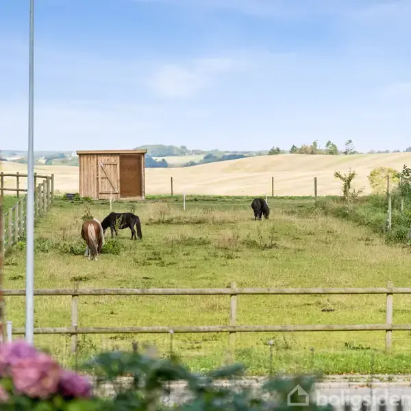 Tre ponyer græsser i en indhegnet mark ved siden af et murstenshus. En træbygning står i baggrunden. Landskabet består af åbne marker under en klar blå himmel.