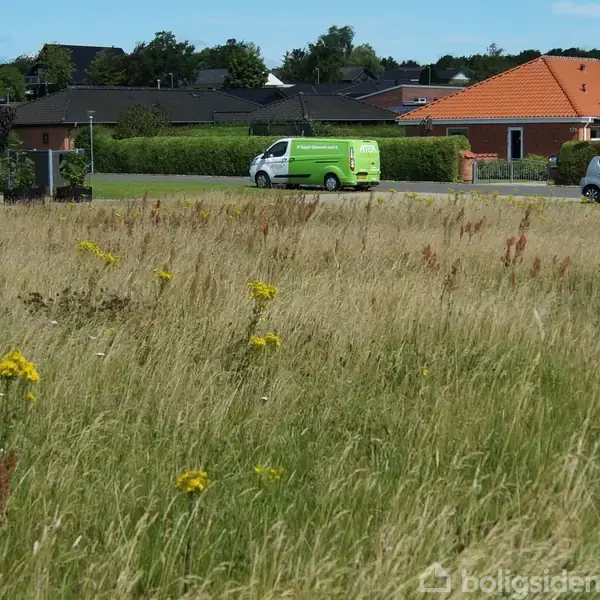 En grøn bil kører på en vej i et boligområde med røde tage, omkranset af en stor mark med højt græs og gule blomster.