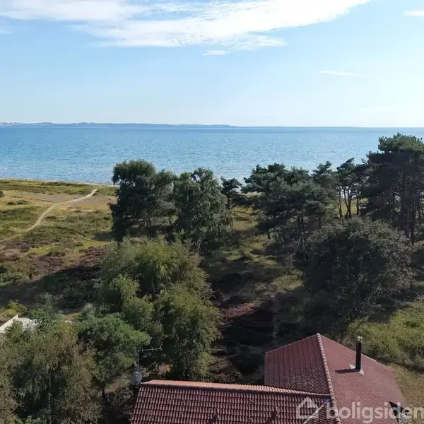 Røde tegltage ses mellem grøn skov og buske, med havet i baggrunden under en blå himmel. En sti går gennem vegetationen mod stranden.