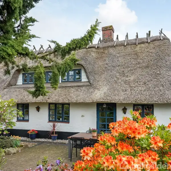 Stråtækt bindingsværkshus med kviste på taget står stille omgivet af farverige blomster og buske. I baggrunden ses en blå himmel med enkelte skyer.