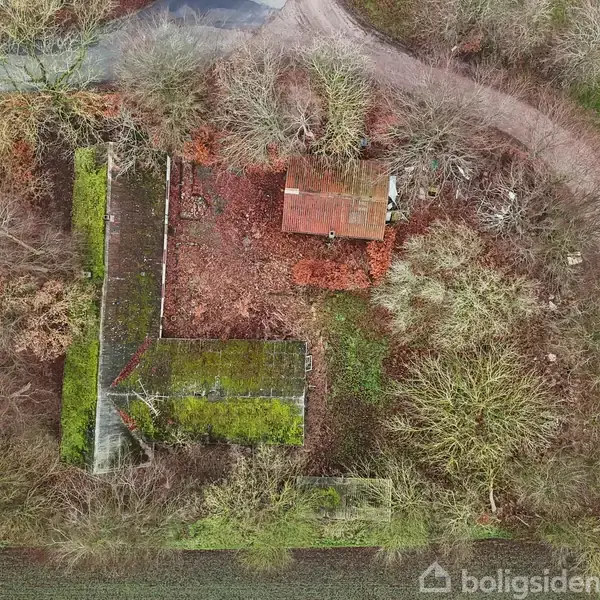En forladt bygning med mosgrønne tage står stille omgivet af tætte træer og en grusvej, der snoer sig gennem et landskab af marker i et landligt område.