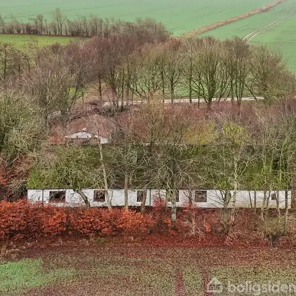 En forladt bygning dækket af planteliv står i en skovklædt område, omgivet af åbne marker. Træerne omkring bygningen er delvist nøgne, hvilket tyder på efterår.