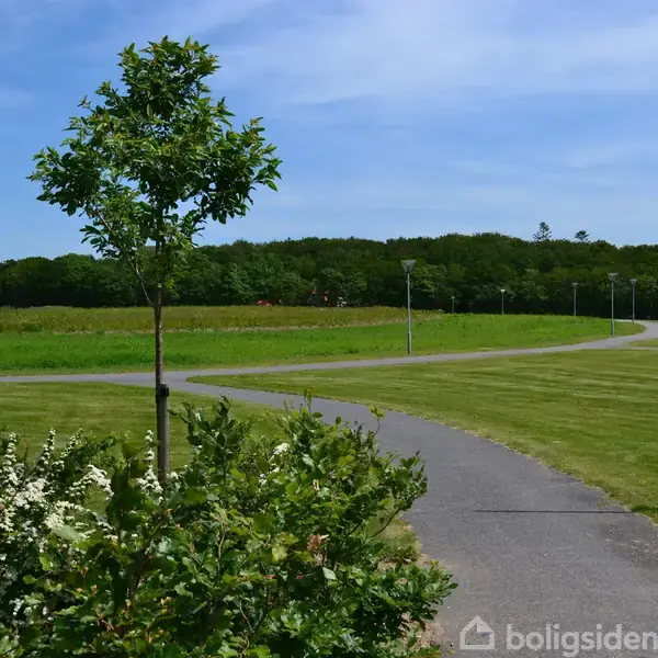 En snoet sti strækker sig gennem en grøn park omgivet af græs, træer og buske under en blå himmel. Flere lamper står langs stien, der krydser landskabet.