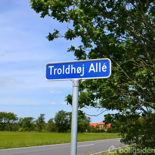 Et vejskilt med teksten "Troldhøj Allé" står oprejst ved siden af en vej. Skiltet er omgivet af træer og græs, under en klar blå himmel.