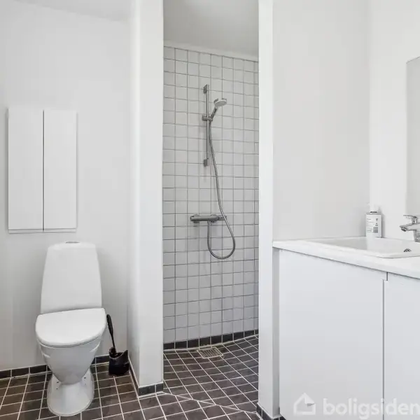 Toilet placeret ved siden af brusekabine med flisevægge til venstre. Håndvask med skab og spejl til højre. Rum med brunlige fliser på gulvet og en radiator ved væggen.