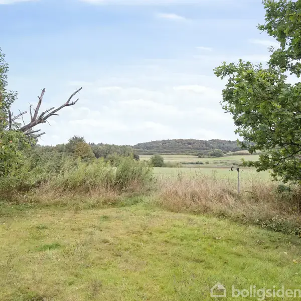 Grønt græs vokser frodigt, mens træer omkranser området. I baggrunden ses åbne marker og bakker under en blå himmel med få skyer. Mangler tekst.