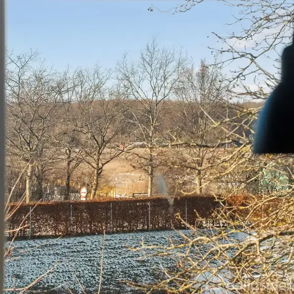 En sort lampe hænger stille foran et vindue, der åbner op til en udsigt af træer og en snedækket have, omgivet af en klippet hæk.