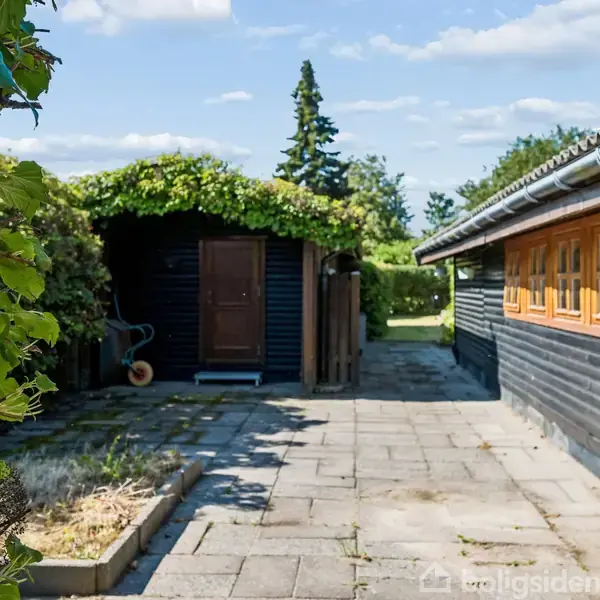 Sort træskur med grøn bevoksning på taget står på flisebelagt gårdsplads ved siden af et hus. Vandkande ses i skurens døråbning, omgivet af grønne planter og buske.