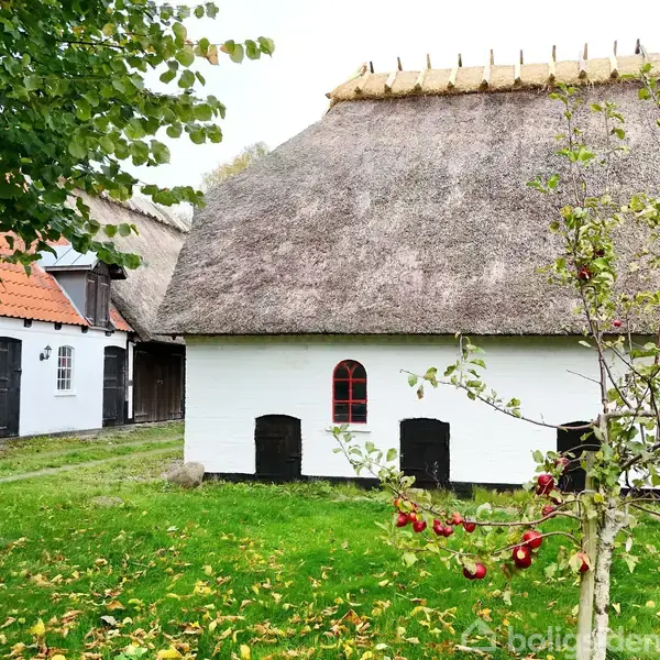 Et hvidt bindingsværkshus med stråtag står ved en græsplæne og et æbletræ med røde æbler. Ved siden af ses en mindre bygning i samme stil. Ingen tekst er synlig.