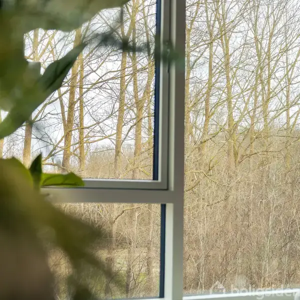 Planter nær vindue åbner sig mod udsigt med nøgne træer udenfor, der strækker sig mod en lys, overskyet himmel.