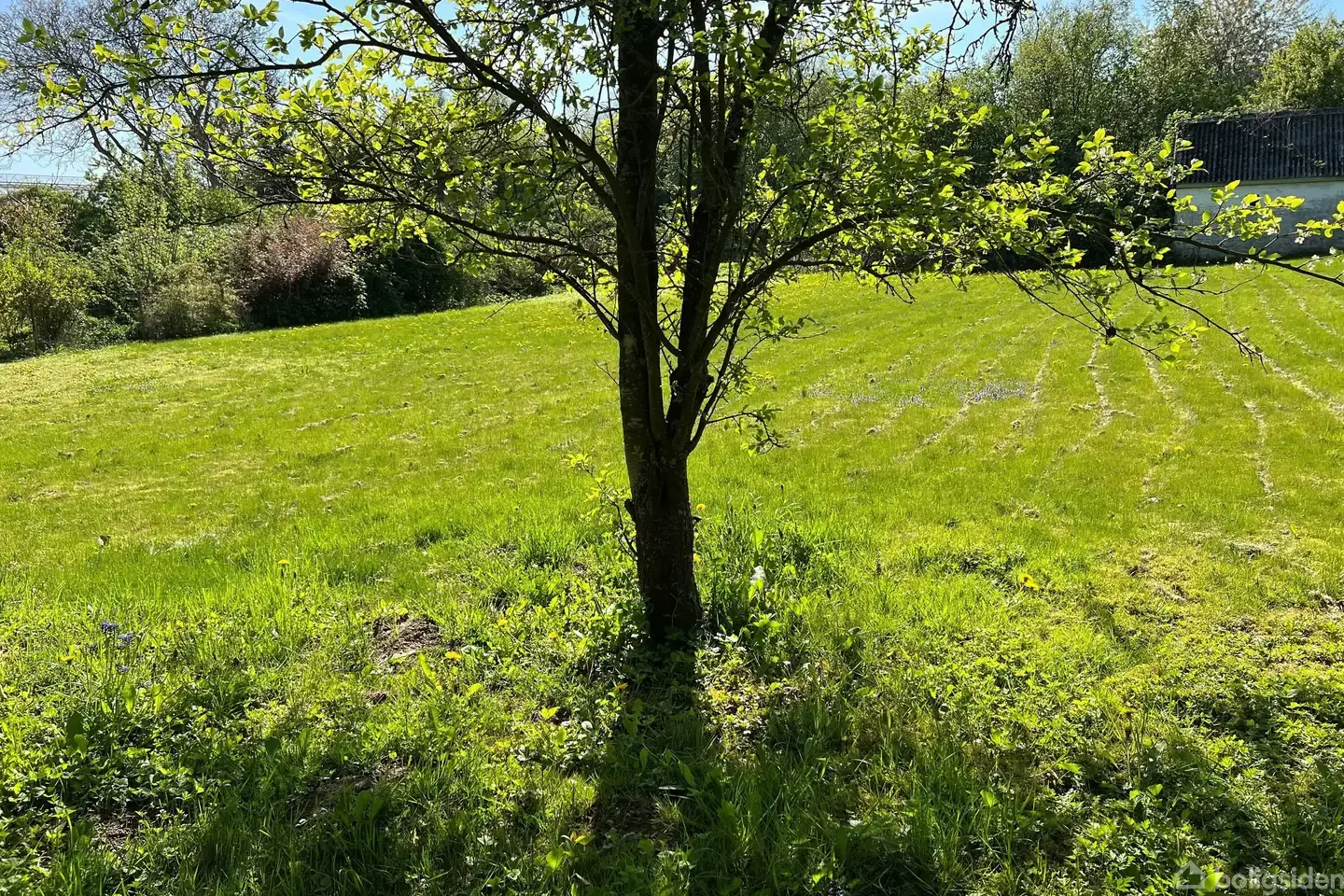 Attraktiv grund i smukt landsbymiljø - Visning 3