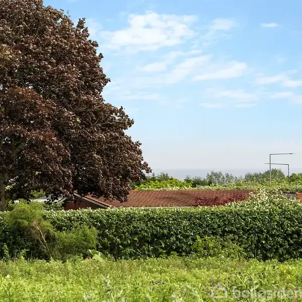 Træ står i ro ved siden af rødtagede bygninger omkranset af grønne buske og marker under en blå himmel med få skyer.