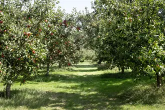 Villa på Prins Axels Vej 9, 2820 Gentofte