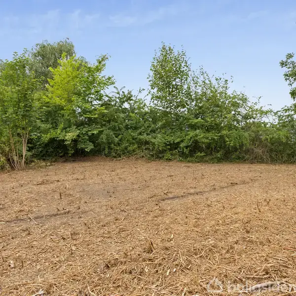 En bar, jordet flade ligger ubevogtet, omgivet af frodig grøn vegetation og træer under en blå himmel.