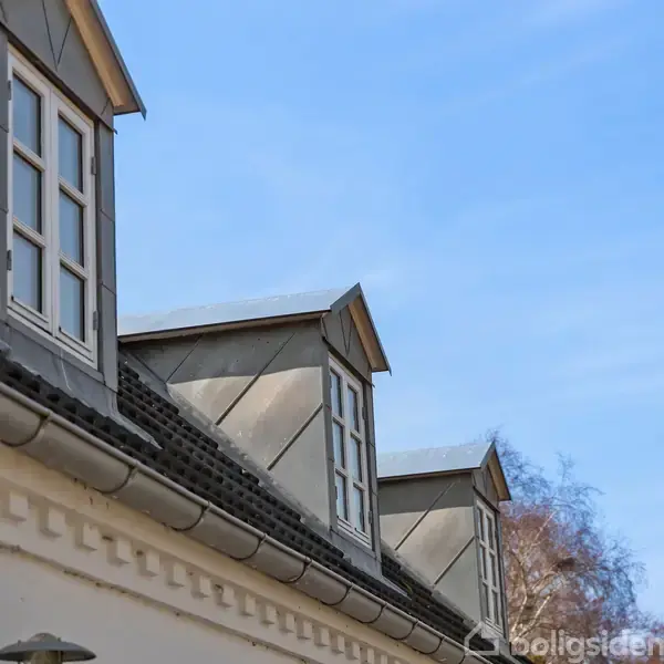 Tagvinduer på et skråtag strækker sig ud mod en klar blå himmel, omgivet af træer i baggrunden, som giver en rolig og lys atmosfære.