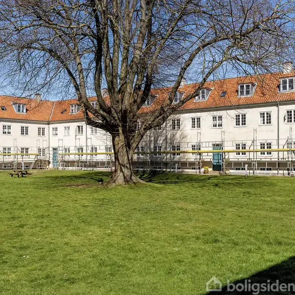 Stort træ står centralt på grøn græsplæne. Omkring træet er en gårdhave med ældre, hvidmalet bygning i baggrunden med rødt tegltag og mange vinduer.