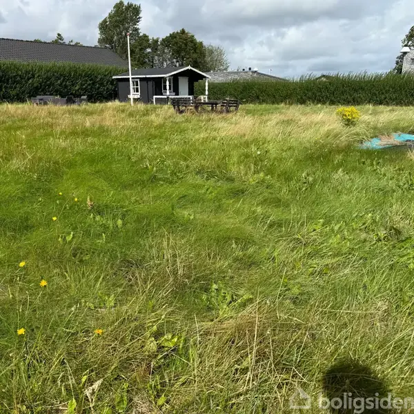 Græsplæne med længdegræs vokser vildt, omgivet af hæk, nær et sort træhus med hvid veranda. Bord-bænkesæt står foran huset. Skyet himmel over området.