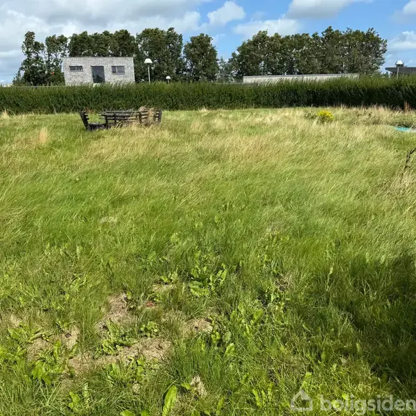 En græsplæne fyldt med ukrudt og højt græs, med et bord- og bænkesæt i det fjerne. Baggrunden har en hæk, træer og en bygning i en landlig have.