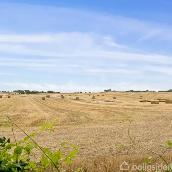 Mark med høballer ligger under en klar blå himmel, omgivet af grønne grene og buske.