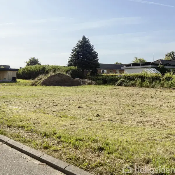 En flad græsplæne ligger urørt, omkranset af hække og huse. En muldvarpeshøjle ses på plænen, og solen skinner fra en klar himmel.