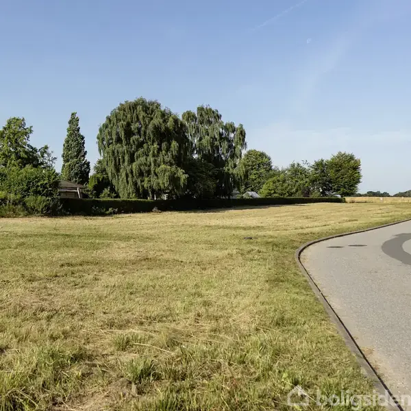 En asfalteret vej strækker sig gennem et åbent område med højt græs. I baggrunden ses store træer og noget bebyggelse. Skyfri himmel skaber en solrig atmosfære.