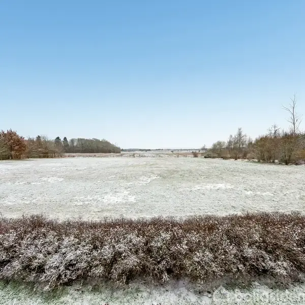 En snedækket mark strækker sig mod horisonten, flankeret af træer på begge sider under en klar, blå himmel. Forrest ses en lav hæk dækket af let sne.