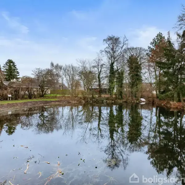 En sø, der spejler de omkringliggende træer i sit rolige vand, omgivet af træer og buske i en park på en klar dag.