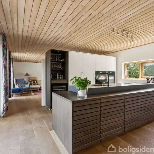 Køkken med træloft og gulv, mørkegråt køkkenbord, og grøn plante. Store vinduer giver udsigt til have. Stuen i baggrunden har lænestol og reol.