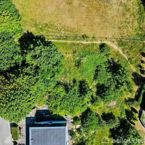 Grønt område med træer og buske omgivet af huse. En sti strækker sig gennem området fra venstre mod højre, og en vej med huse ses nederst i billedet.