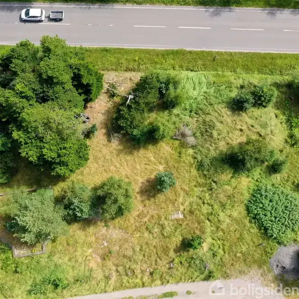 En åben græsmark med spredte træer og buske ligger ved siden af en vej, hvor en bil med trailer kører. En bygning skimtes til højre.