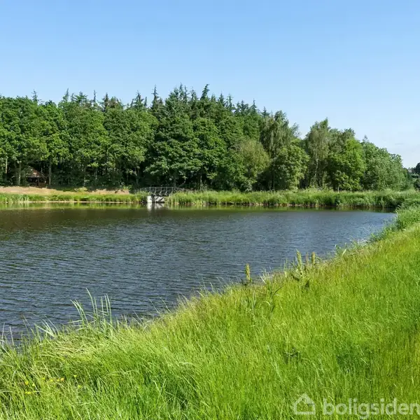 En rolig flod flyder stille gennem et grønt område, omgivet af græs og en tæt skovkant under en klar blå himmel.