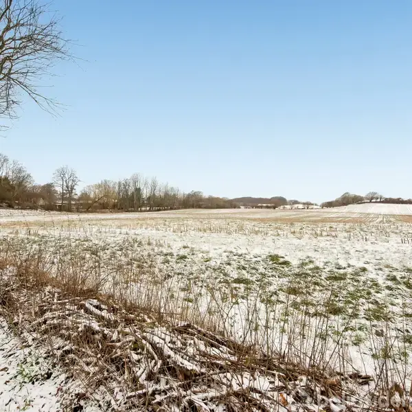 Et snedækket marklandskab med spredte grønne områder strækker sig under en klar blå himmel. En ensom træstamme står til venstre, mens skovgrænser omgiver marken i det fjerne.