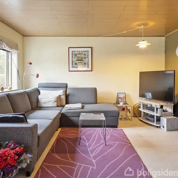 En grå hjørnesofa står i en stue ved siden af et lille bord med en vase og blomster. Et TV er placeret på en reol til højre, omgivet af bøger. En malet væg og et tæppe skaber en hyggelig atmosfære.