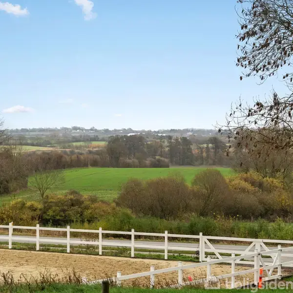 En grøn mark strækker sig over en kuperet landskab, omkranset af træer uden blade. En hvidmalet hegnlinje løber langs en grusvej i forgrunden under en blå himmel.