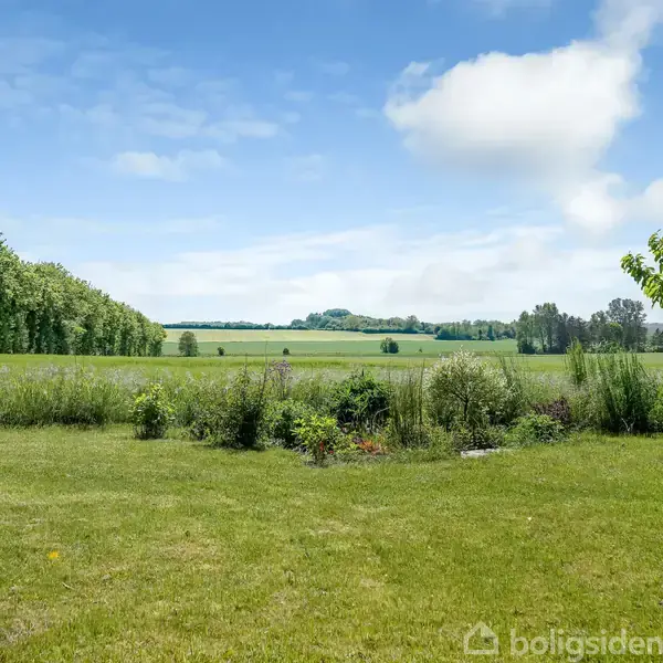 En grøn græsplæne strækker sig ud mod en langstrakt mark, omkranset af træer. En enkelt trægren ses til højre. Himmel med få skyer skaber en fredelig atmosfære.